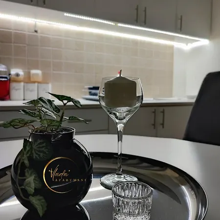 Vlada Apartment Vrnjacka Banja