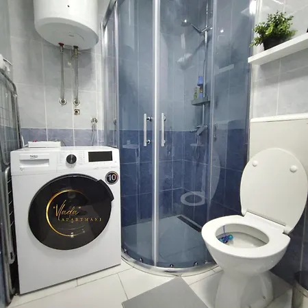 Vlada Vrnjačka Banja