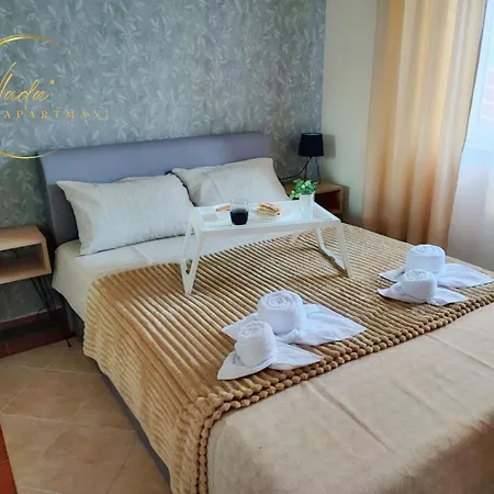 Vlada Vrnjačka Banja