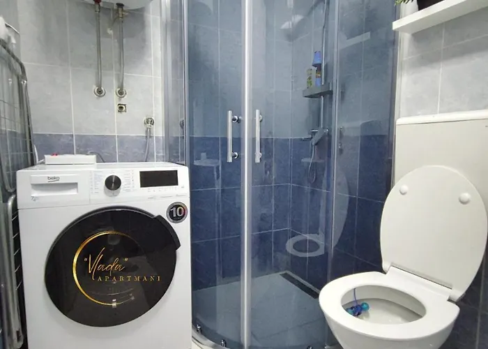 Vlada Vrnjačka Banja