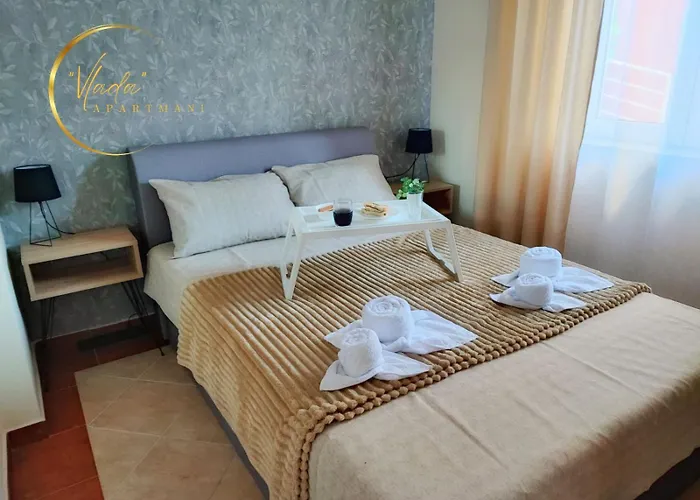 Vlada Vrnjačka Banja